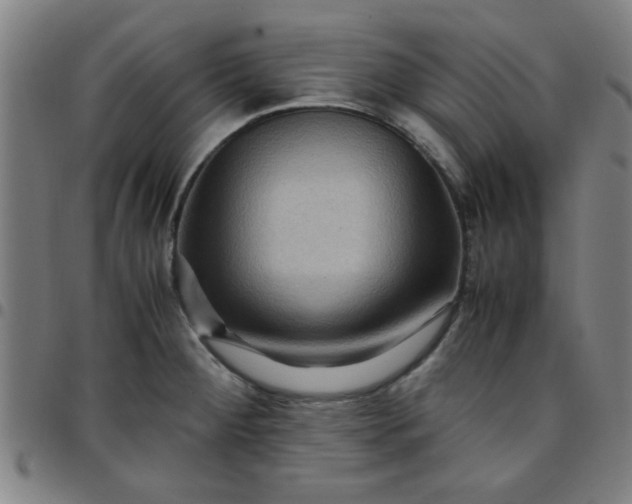 X0000097461284200803071623