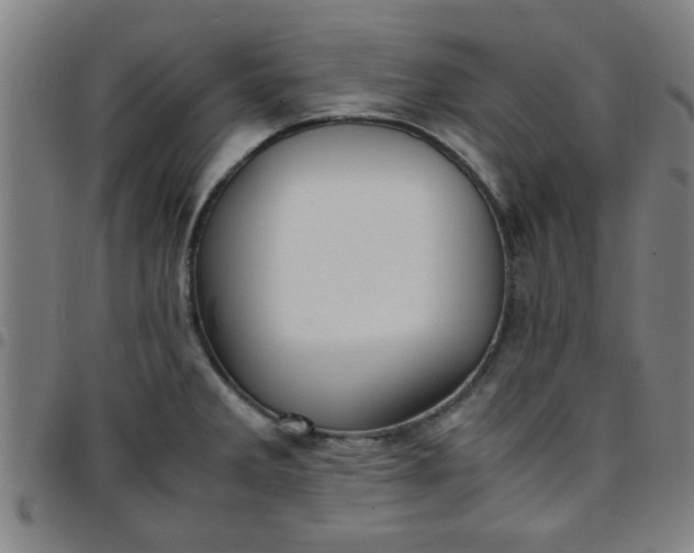 X0000097461285200803071623