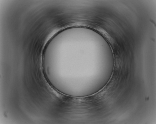 X0000097461286200803071623