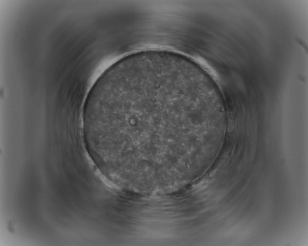 X0000097461287200803071623