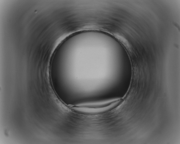 X0000097461288200803071623