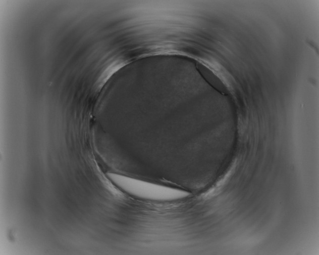 X0000097461289200803071623