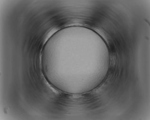 X0000097461290200803071623