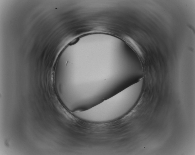 X0000097461292200803071623