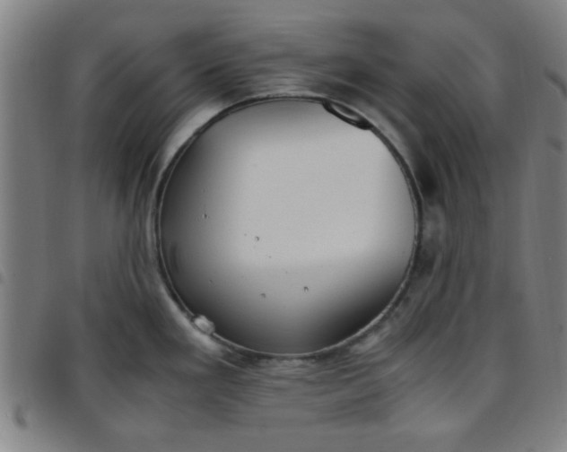 X0000097461293200803071623