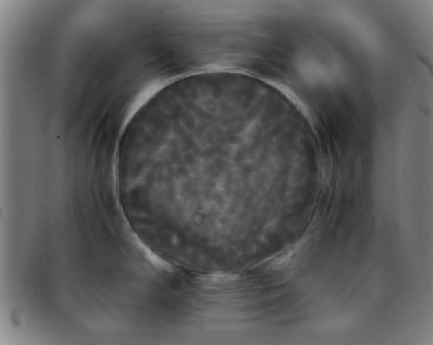 X0000097461294200803071623