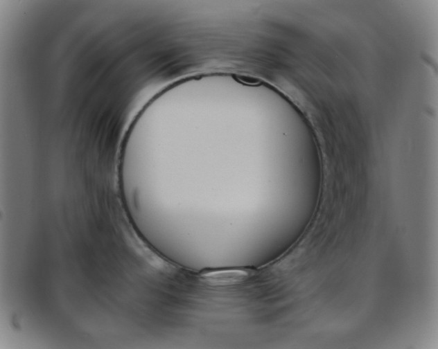 X0000097461296200803071623