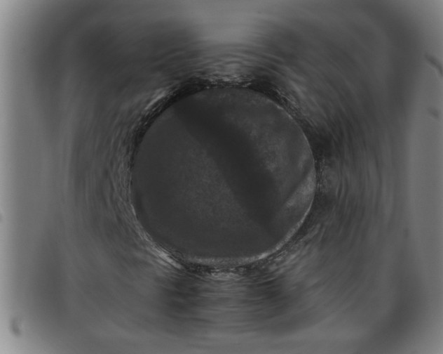 X0000097461297200803071622