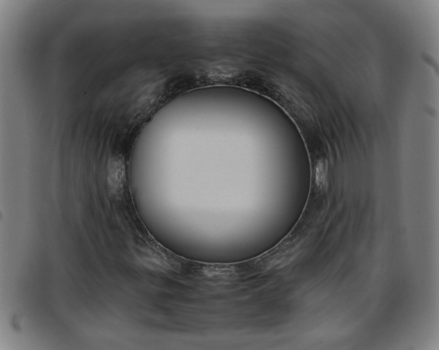 X0000097461299200803071622