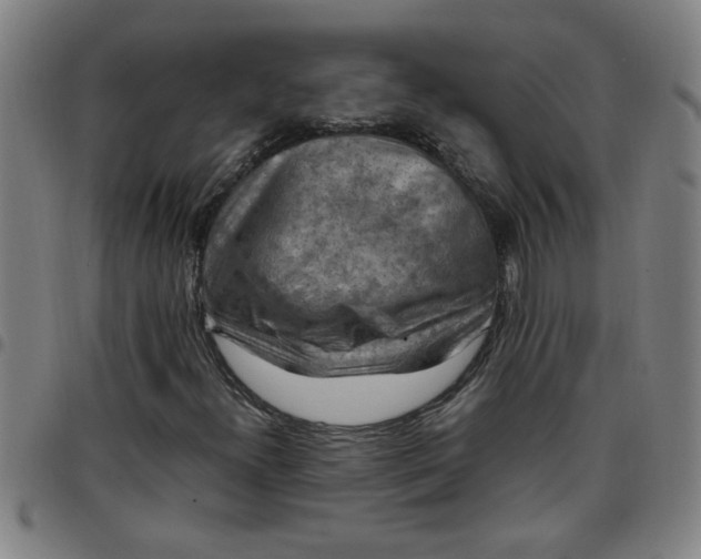 X0000097461300200803071622