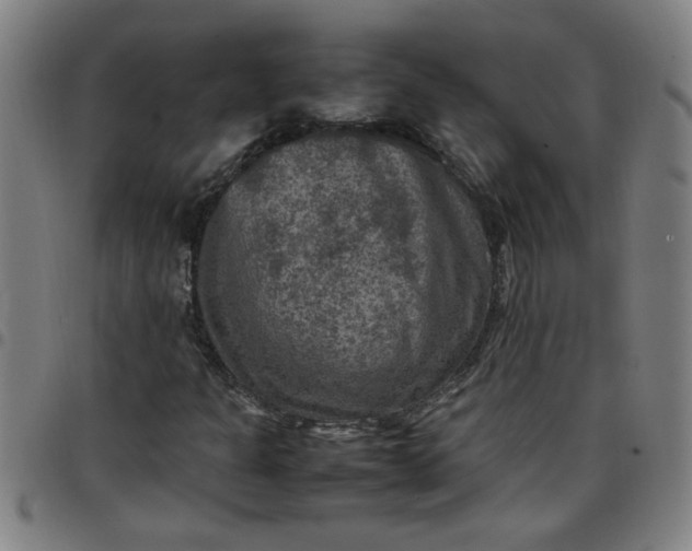 X0000097461301200803071622