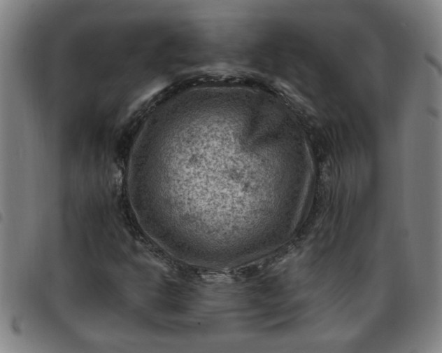 X0000097461302200803071622