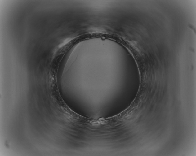 X0000097461303200803071622