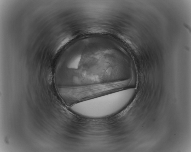 X0000097461306200803071622