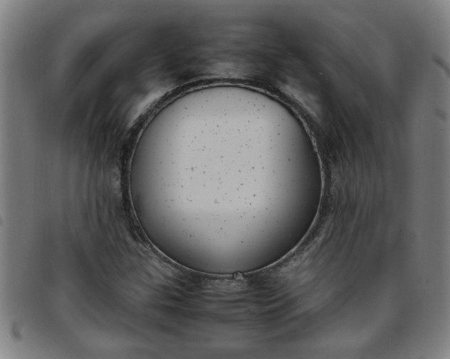 X0000097461307200803071622