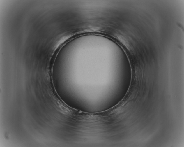 X0000097461308200803071622