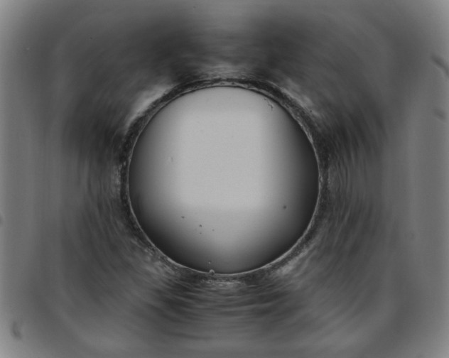 X0000097461309200803071622