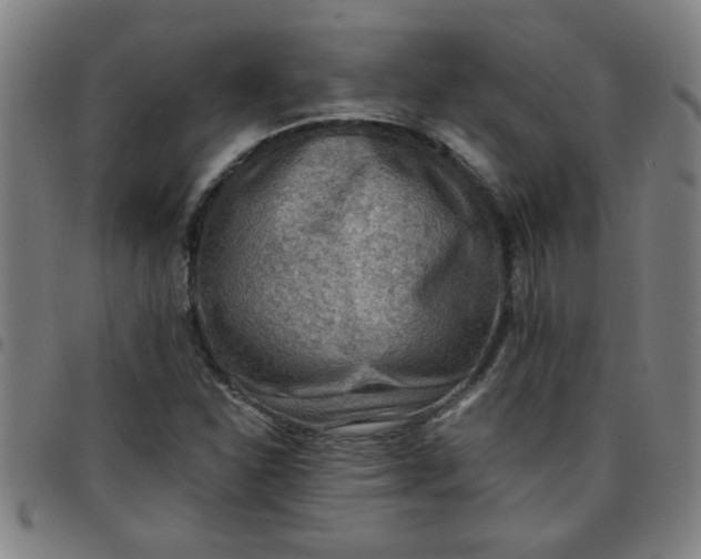 X0000097461310200803071622