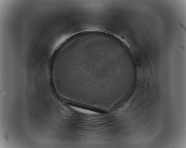 X0000097461311200803071622