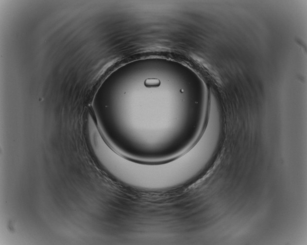 X0000097461313200803071622