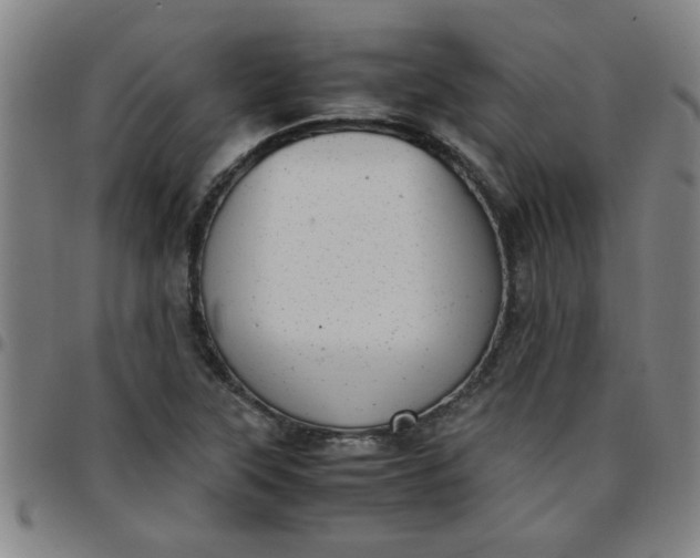 X0000097461315200803071622