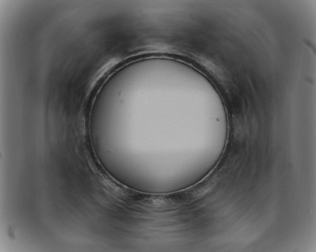 X0000097461318200803071622