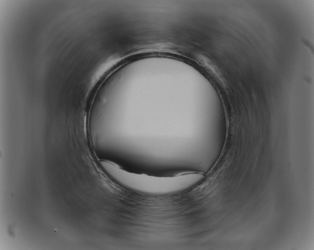 X0000097461320200803071622