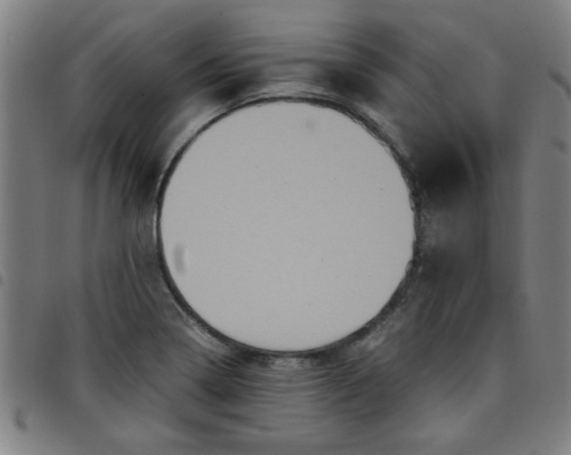 X0000097461322200803071622