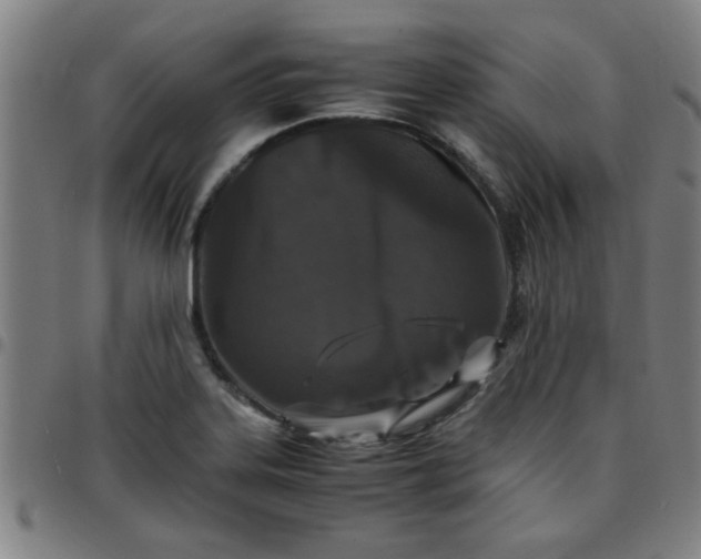 X0000097461323200803071622