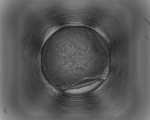 X0000097461325200803071622