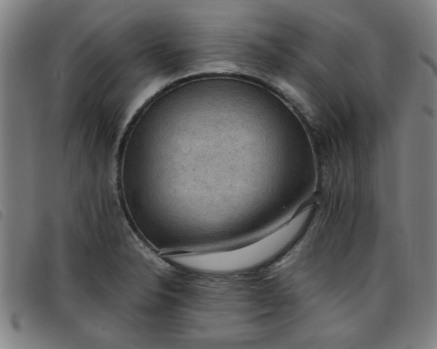 X0000097461326200803071622