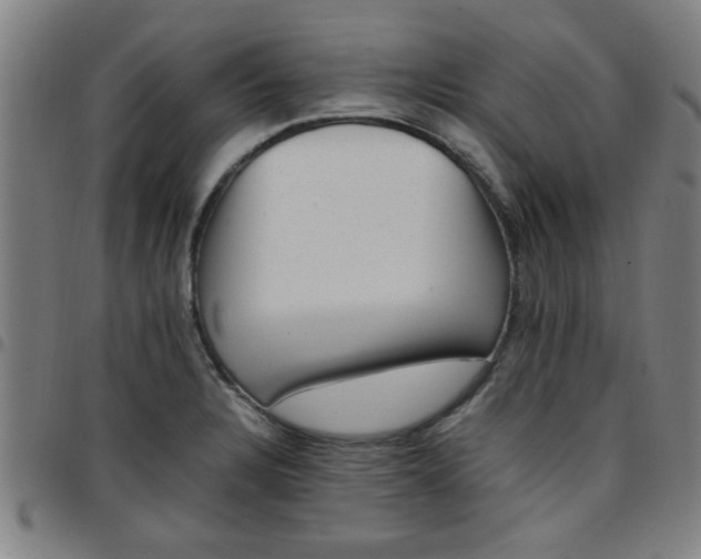 X0000097461328200803071622