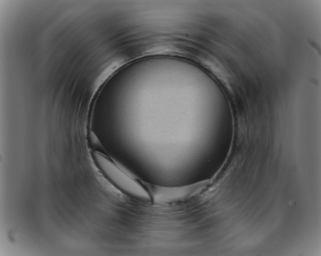 X0000097461330200803071622