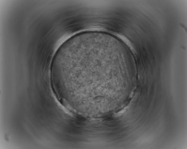 X0000097461335200803071622