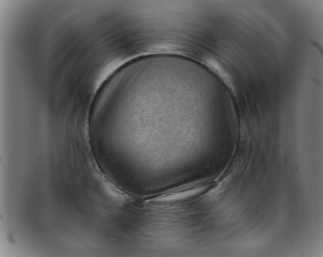 X0000097461336200803071622