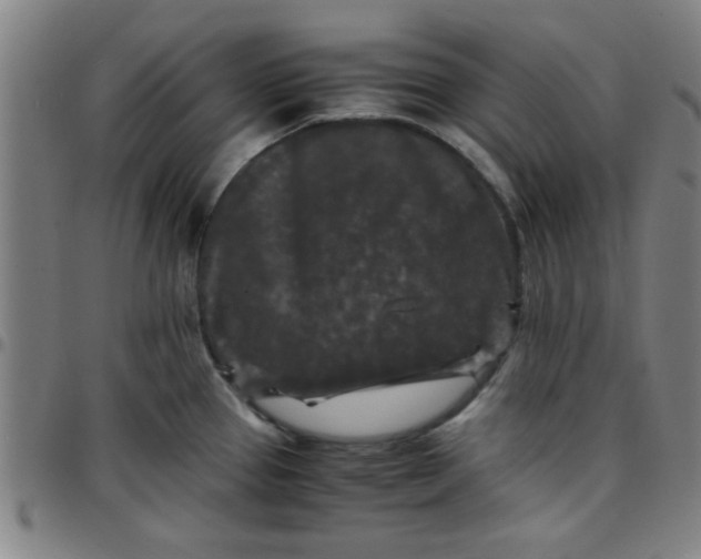 X0000097461337200803071622