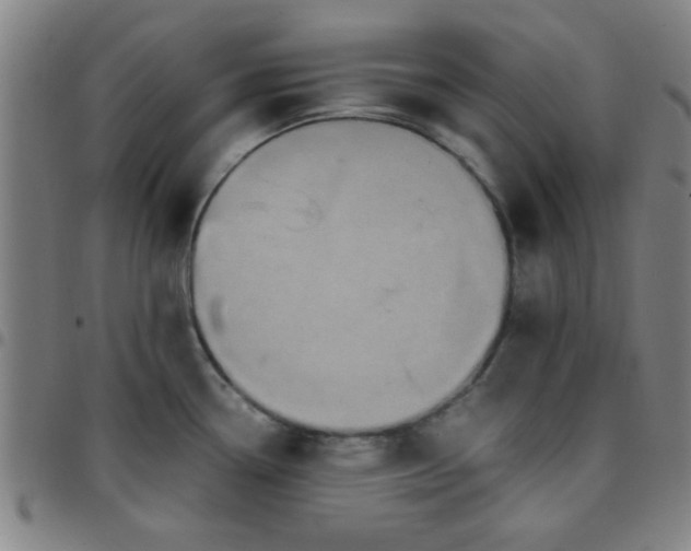 X0000097461338200803071622