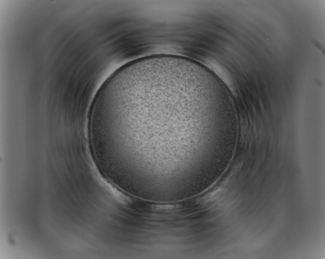 X0000097461339200803071622