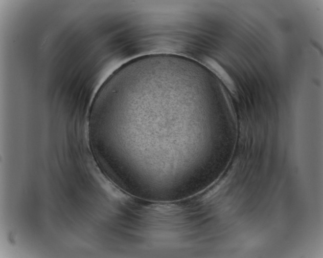 X0000097461340200803071622