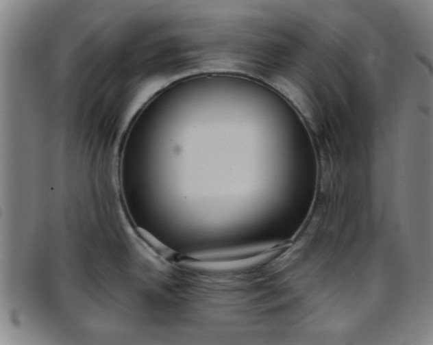 X0000097461342200803071623