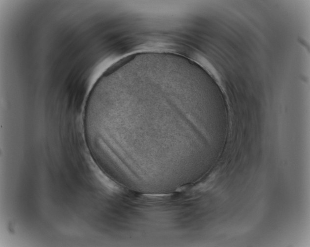 X0000097461344200803071623