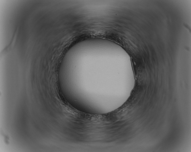 X0000097461345200803071622