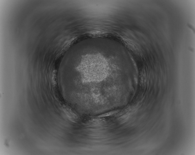 X0000097461346200803071622