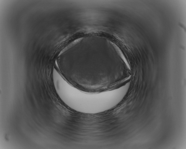 X0000097461348200803071622