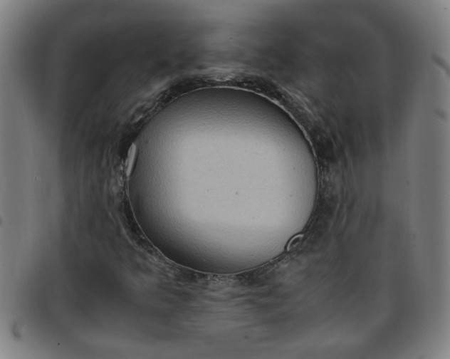 X0000097461349200803071622