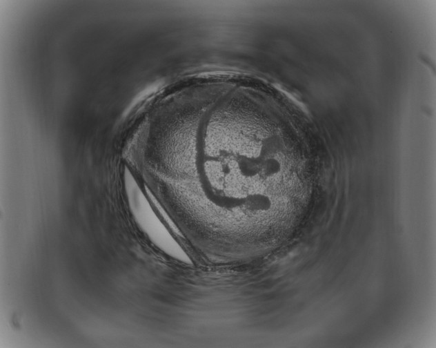 X0000097461351200803071622