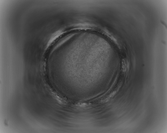 X0000097461352200803071622