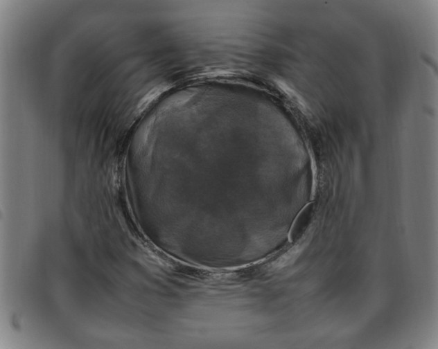 X0000097461353200803071622