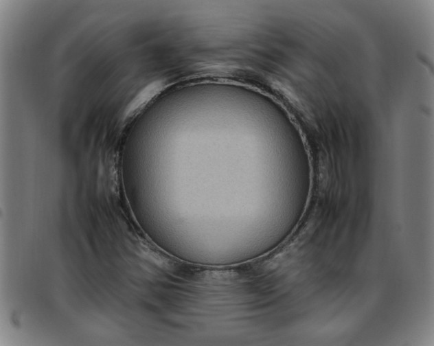 X0000097461354200803071622