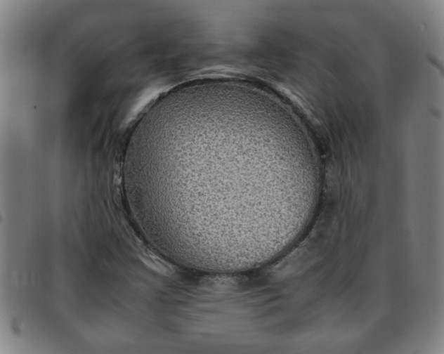 X0000097461355200803071622